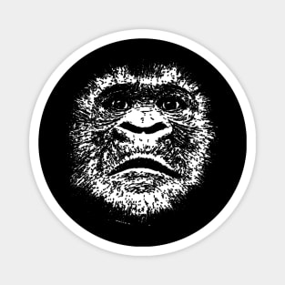 Face Of A Very Large Ape White Scratchboard Art Illustration Magnet
